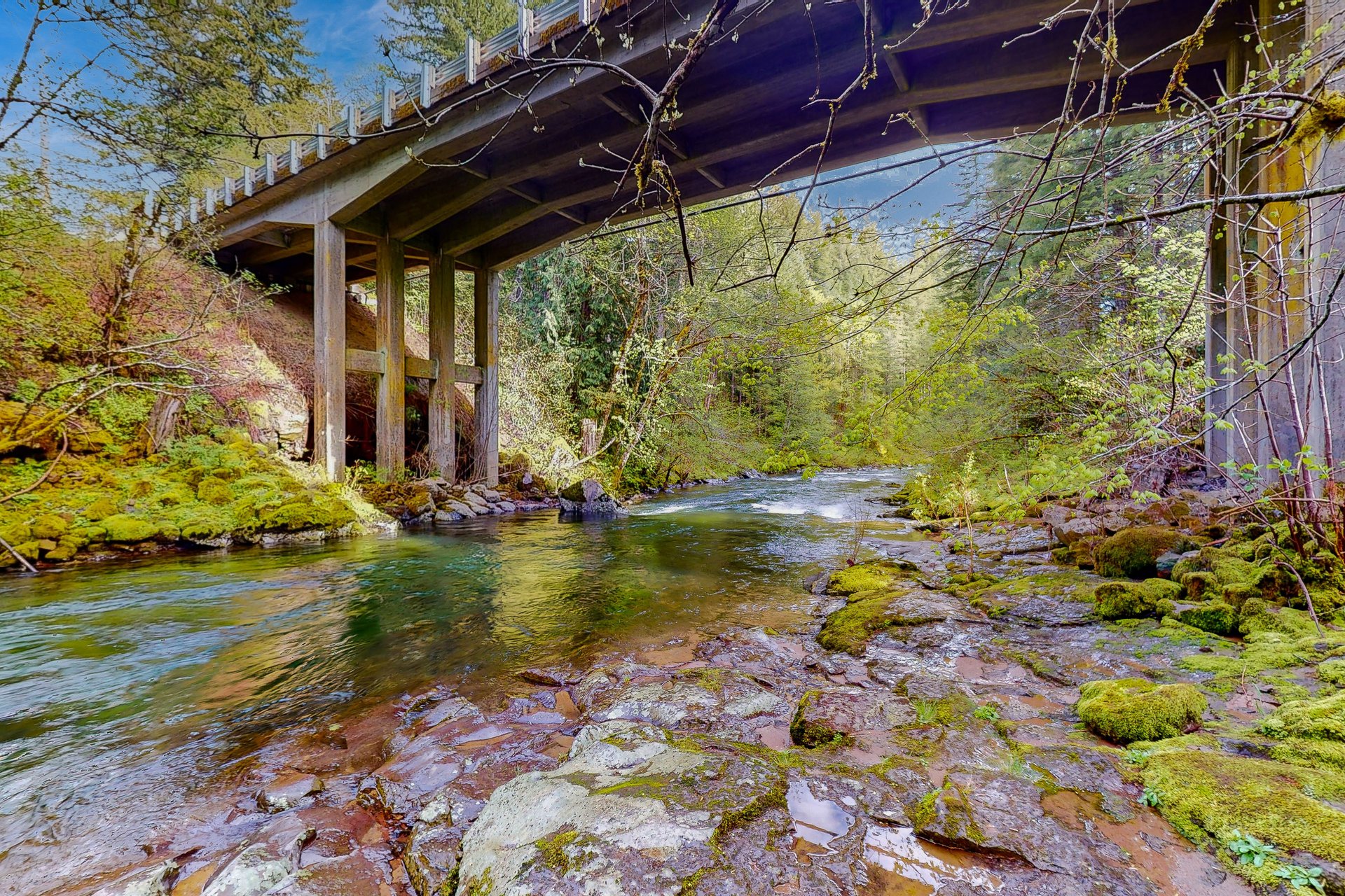 Nearby creek - perfect for dog walks