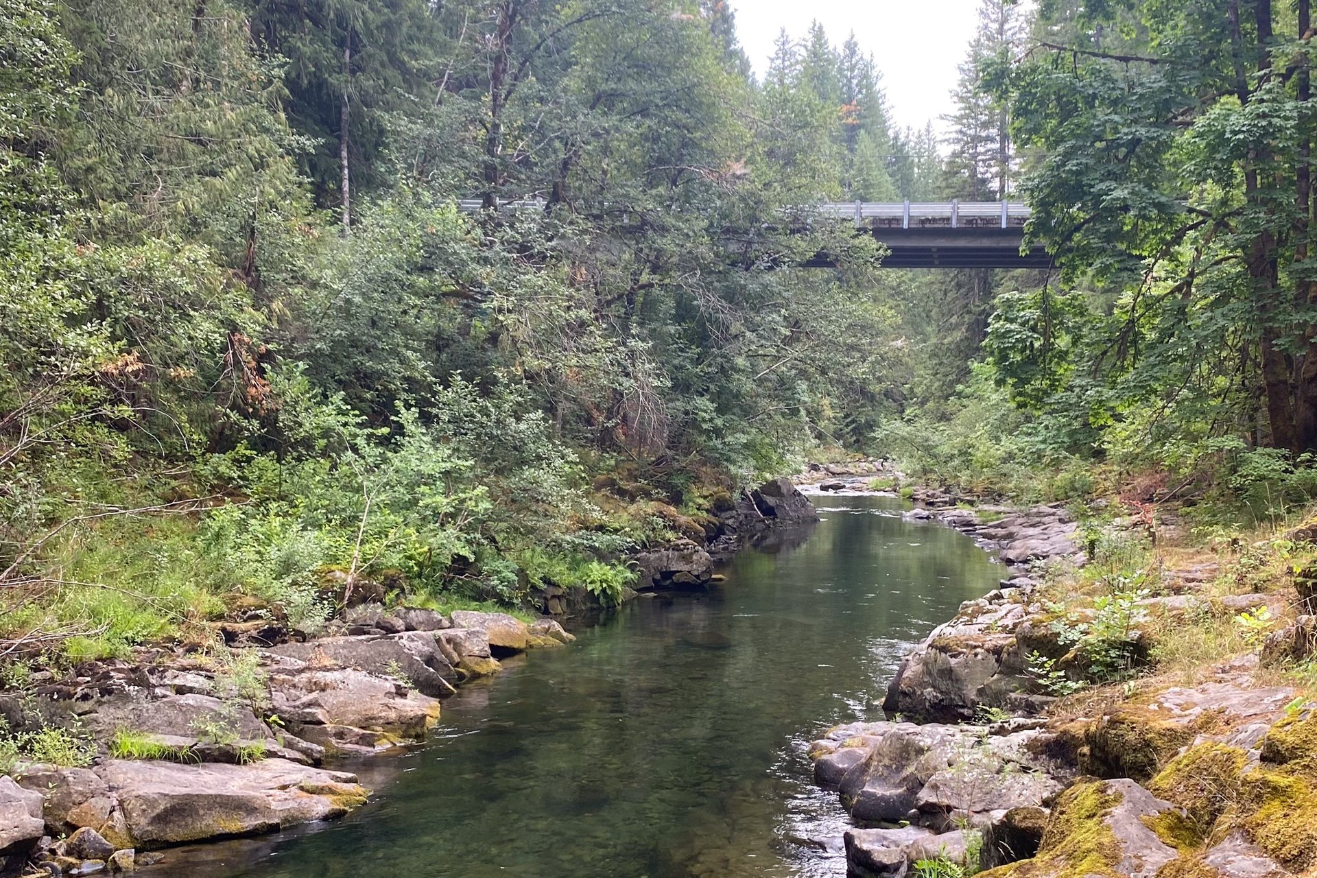 Scenic river trail perfect for dog walks