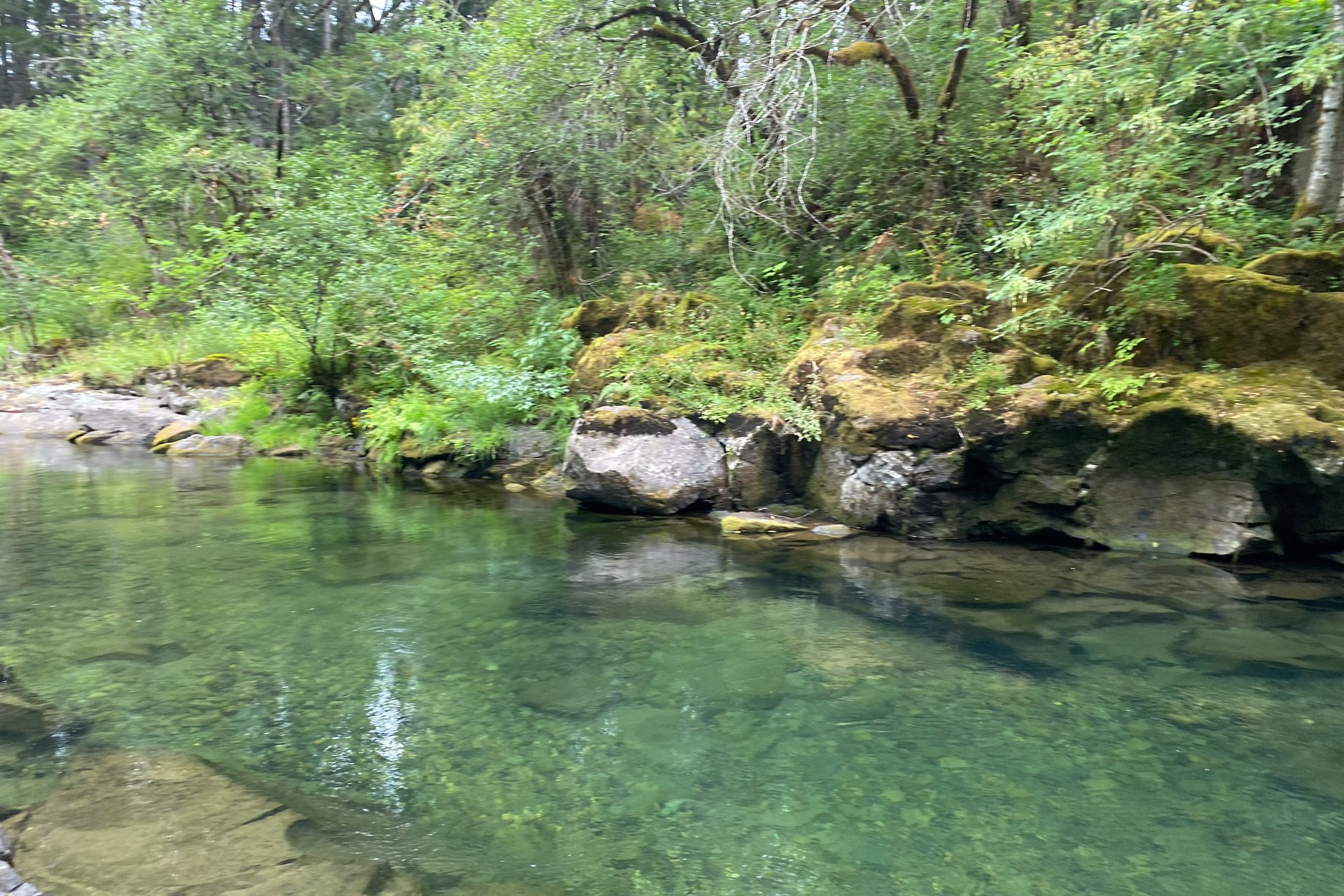Clear river water for swimming